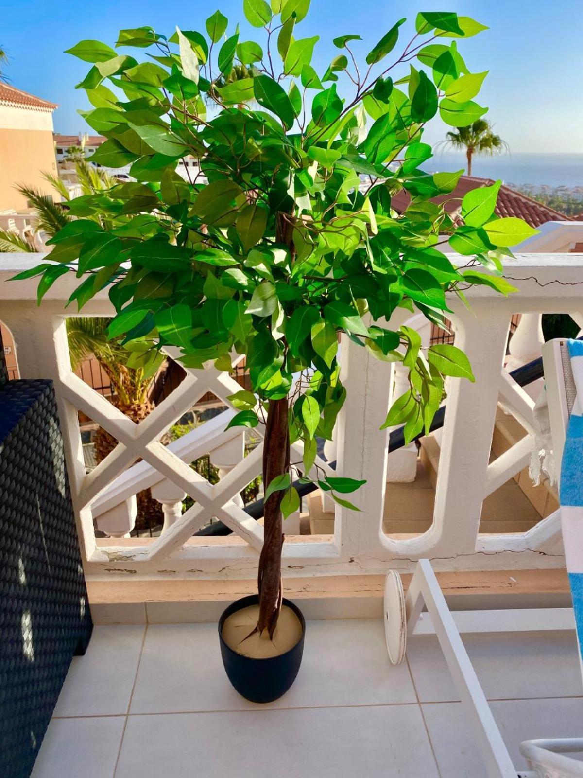 אדחה Passione Beautiful Apartment With Sea View מראה חיצוני תמונה